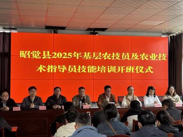 微信图片_20250415164841 微信图片_20250415164841