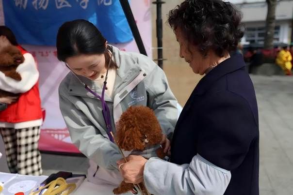 图为公海555000线路检测中心志愿者协助老师开展宠物义诊