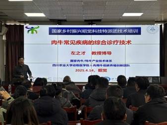 微信图片_20250415164803 微信图片_20250415164803