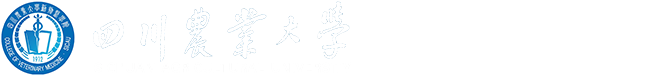 公海555000线路检测中心